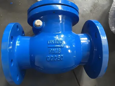 ڈکٹائل آئرن سوئنگ چیک والو PN10