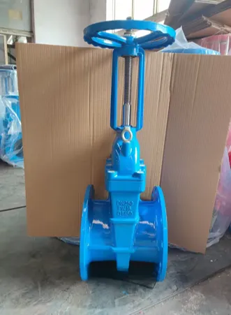 بے نقاب اسٹیم نرم - بیٹھے گیٹ والو